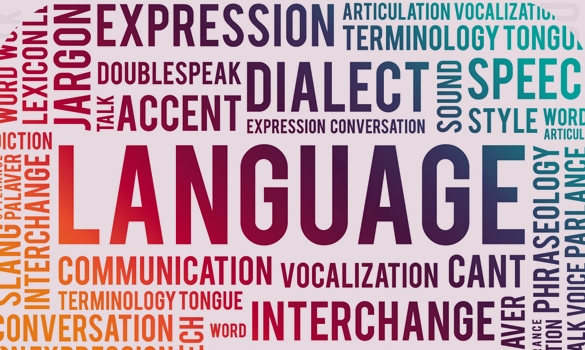 Bölüm İngilizcesi